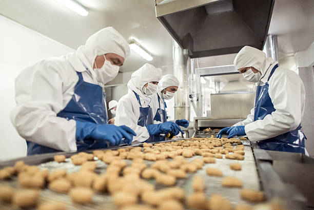 Cashew nut processing factories in Vietnam
