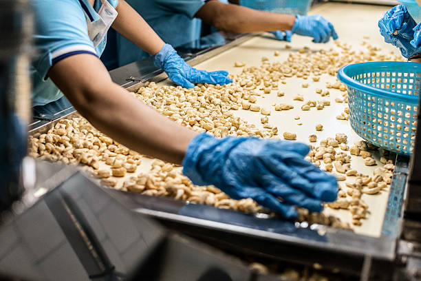 Cashew nut suppliers in Vietnam